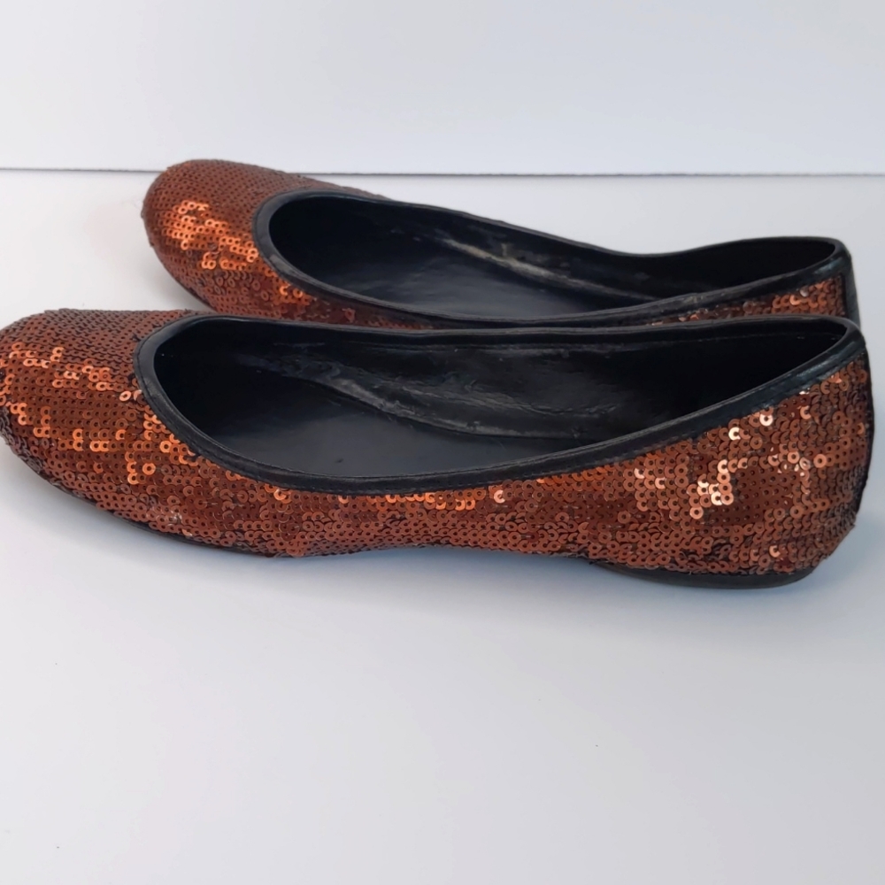 Banana Republic sequin ballet flats